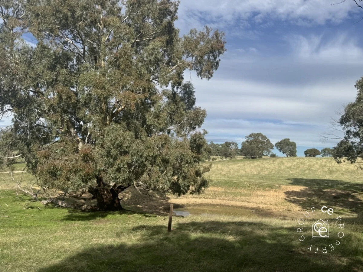 Additional image 11 of 179 Shearers Road, Eden Valley SA 5235
