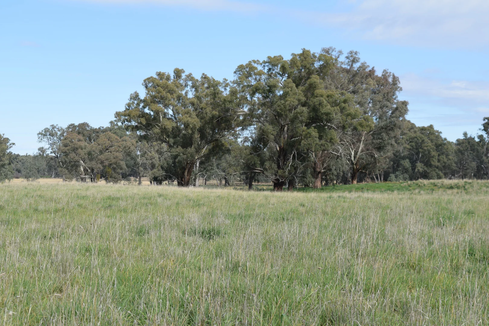 Additional image 5 of lot 5/3905 Riverina Highway, Bungowannah NSW 2640