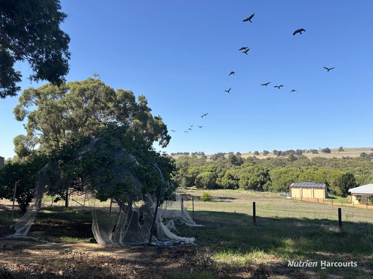 Additional image 26 of 92 Robinson Street, Gingin WA 6503