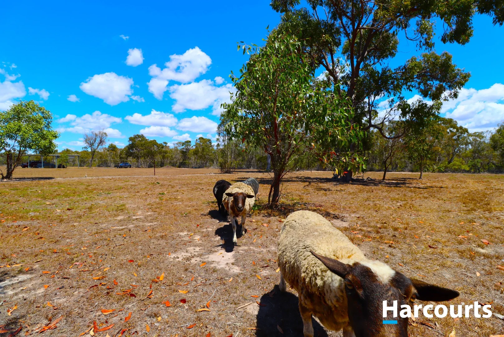 Additional image 10 of 1383 Buxton Rd, Buxton QLD 4660