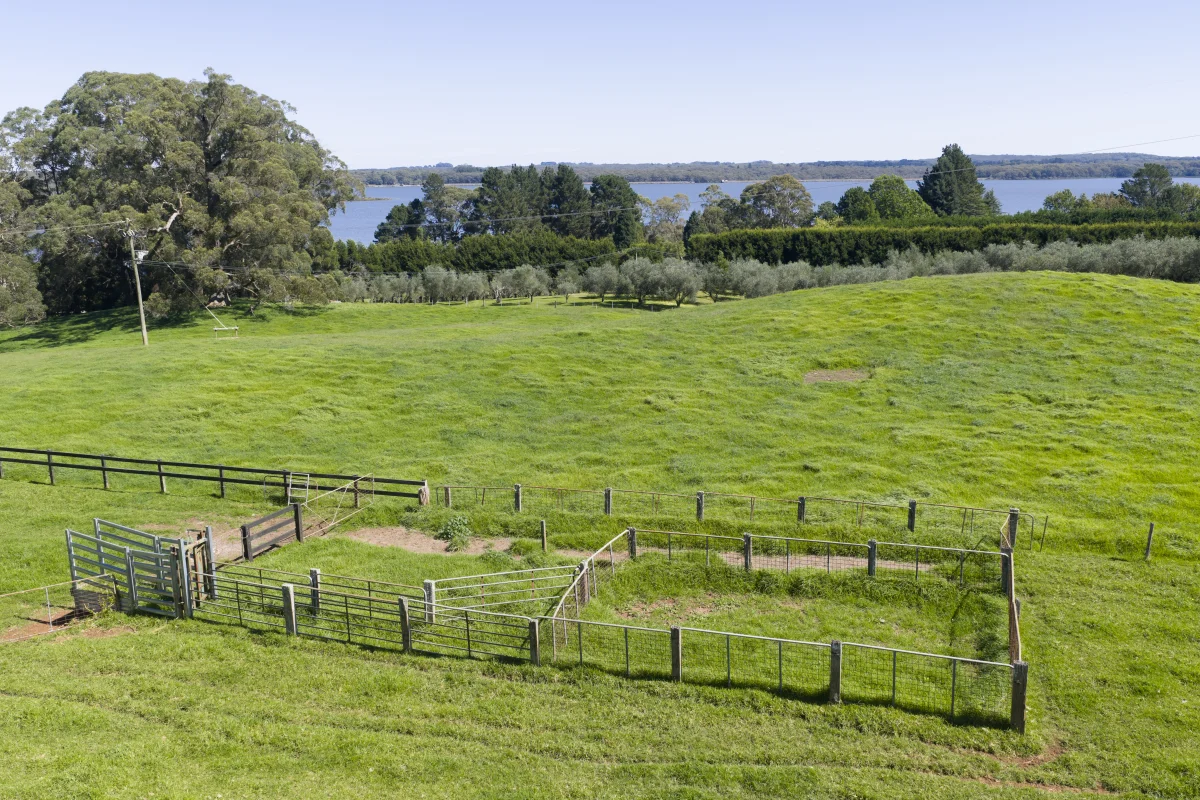 Additional image 6 of 305 Myra Vale Road, Wildes Meadow NSW 2577