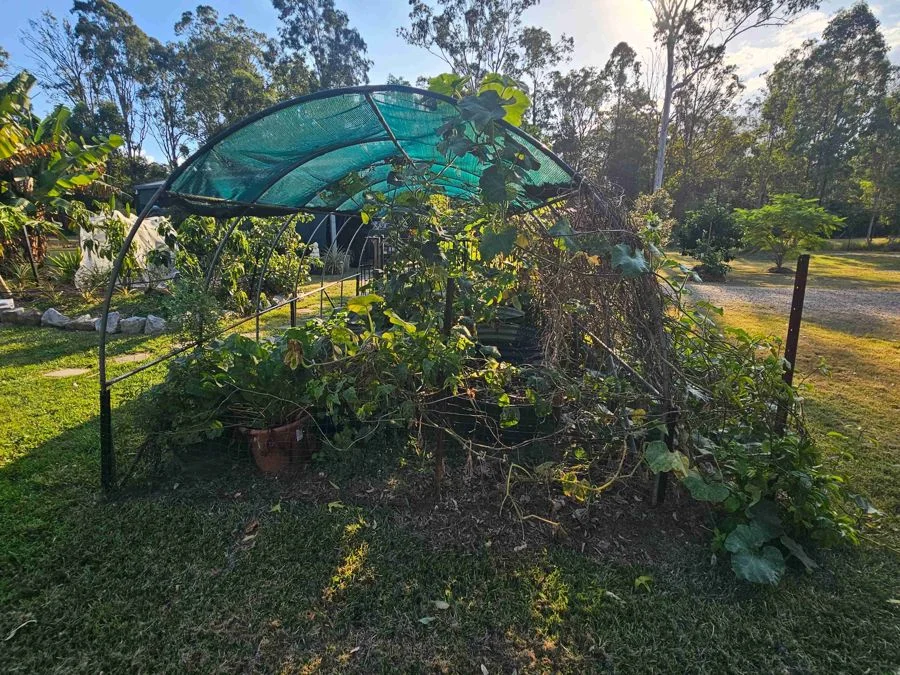 Additional image 14 of 199 Arborthree Road, Glenwood QLD 4570