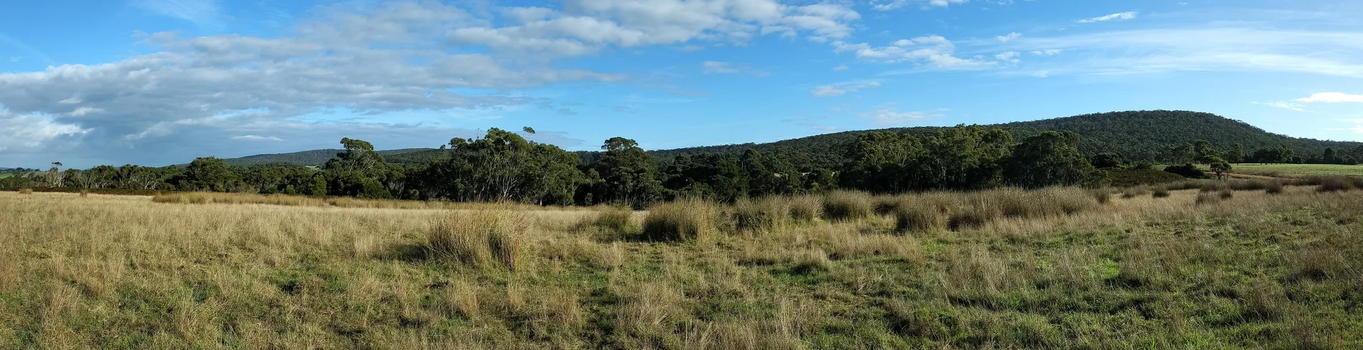 Additional image 18 of 1401, 6405 South Coast Highway, Nornalup WA 6333