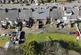 Additional image 15 of 44 Corsewall Street, Coatbridge, ML5 1PY
