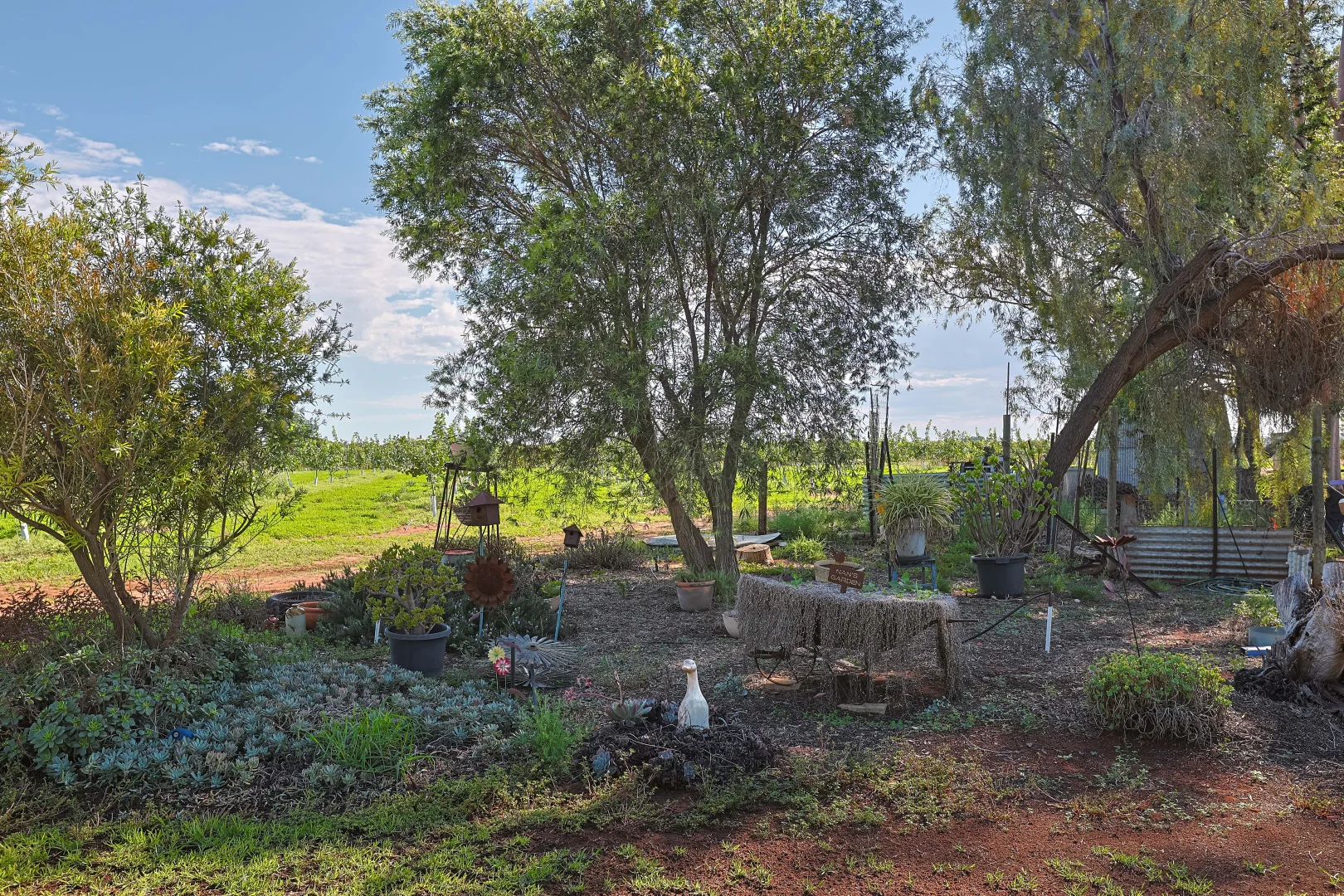 Additional image 21 of 452 Fifth Street, Merbein VIC 3505