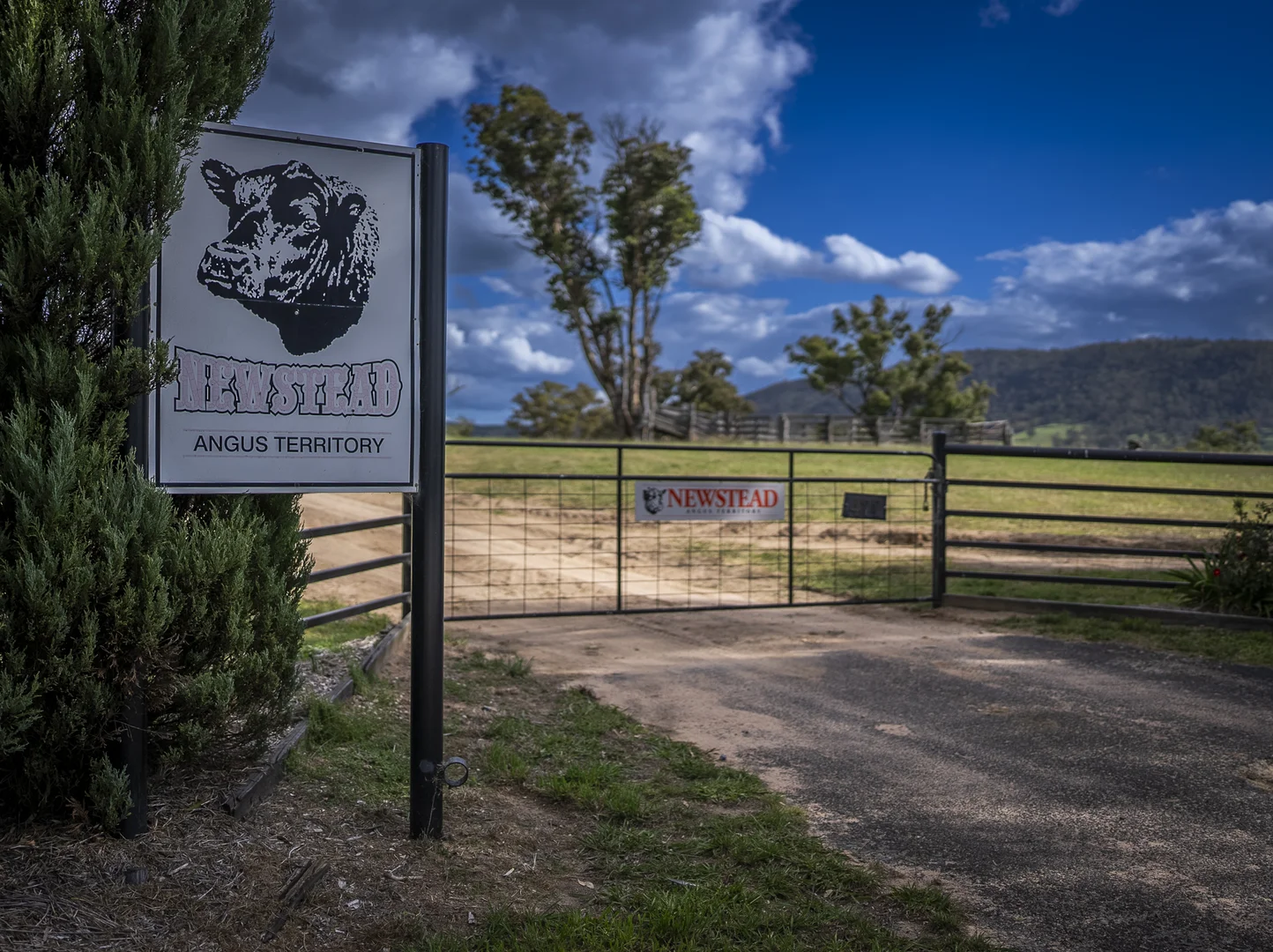 Tarana NSW 2787 photo 3