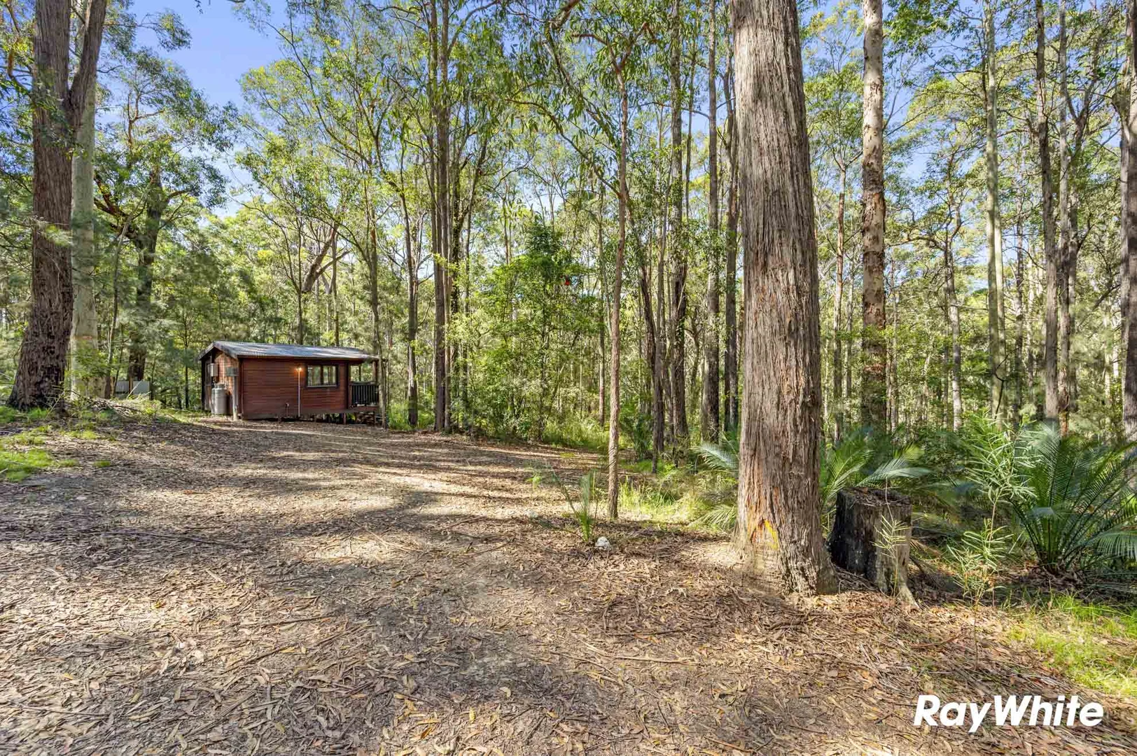 Additional image 16 of 46A Northcove Road, Long Beach NSW 2536