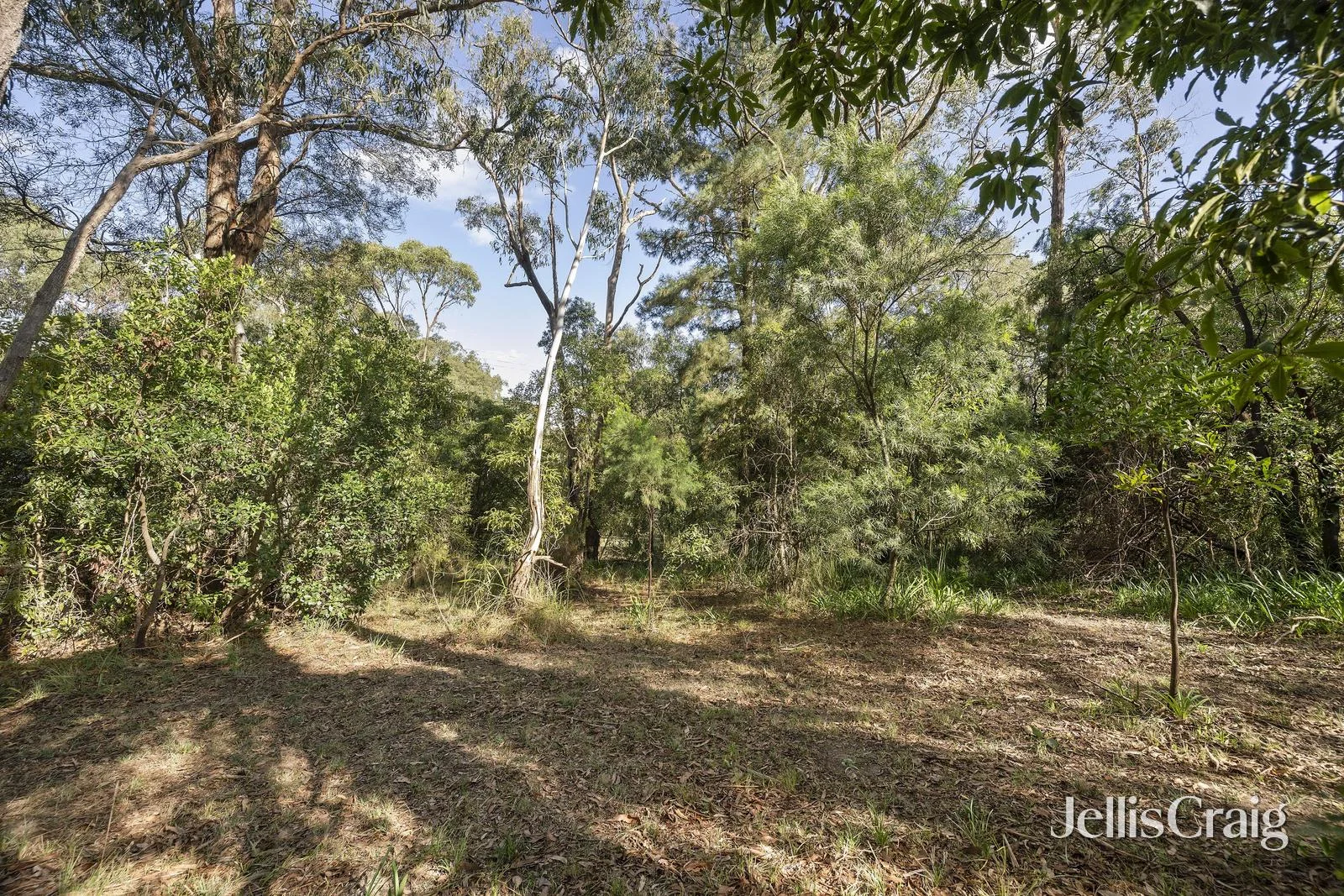 Additional image 6 of 38 Thomas Crescent, Lilydale VIC 3140
