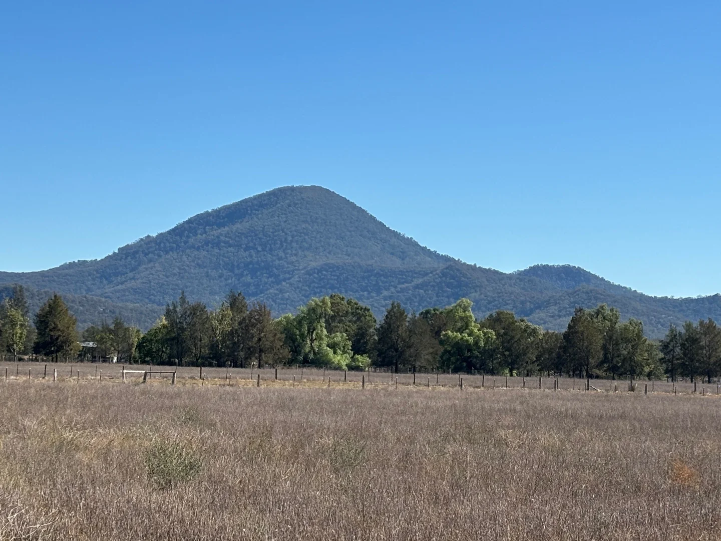 Additional image 14 of 197 Mount Dangar Road,, Baerami NSW 2333