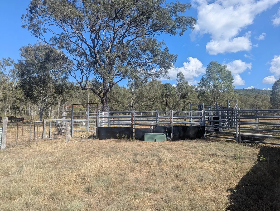 Additional image 22 of Lot 83 Wallers Road,, Ringwood QLD 4343