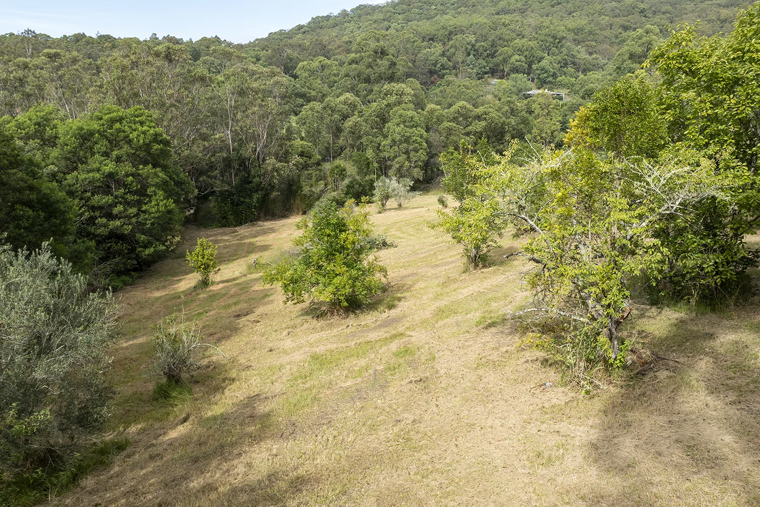 Additional image 6 of 34 Zoriana Close, Mardi NSW 2259