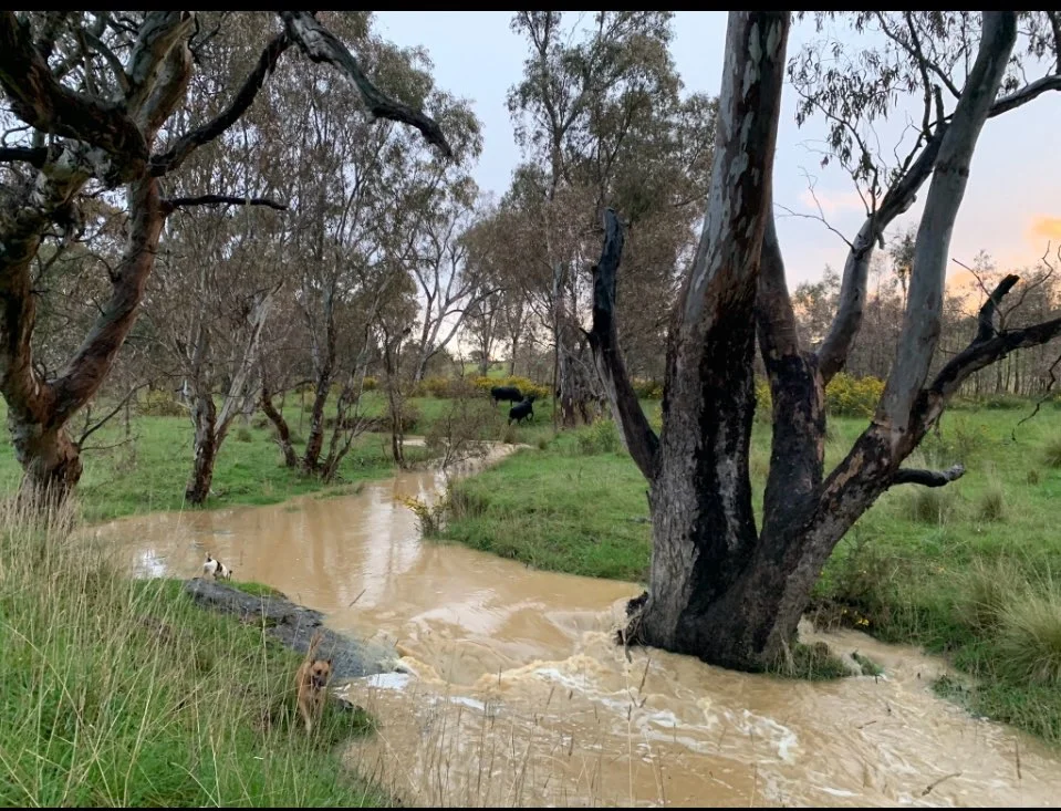 Additional image 19 of 580 The Bridle Track, Glenaroua VIC 3764