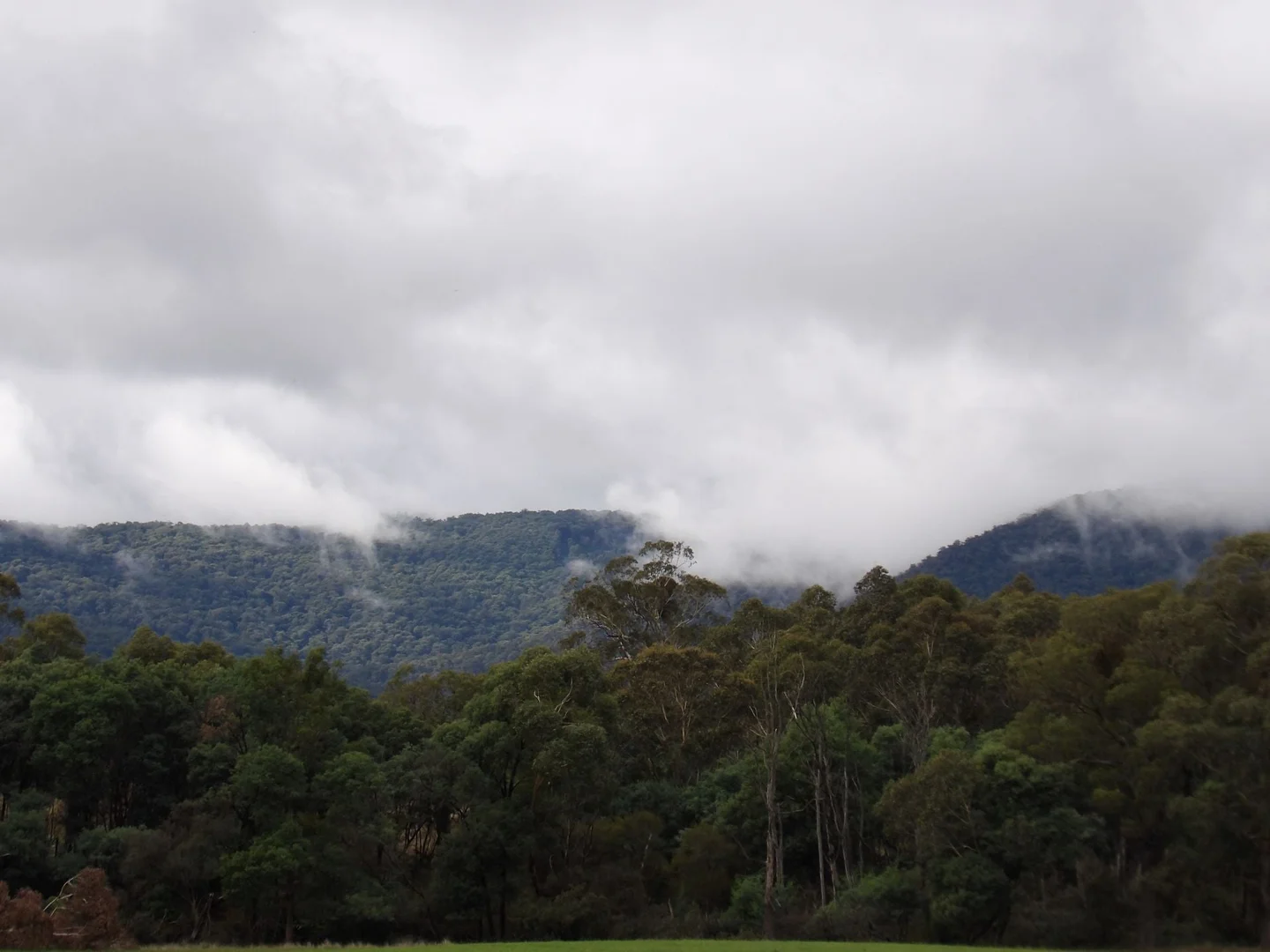 Additional image 9 of 53 Burns Road, Glenburn VIC 3717