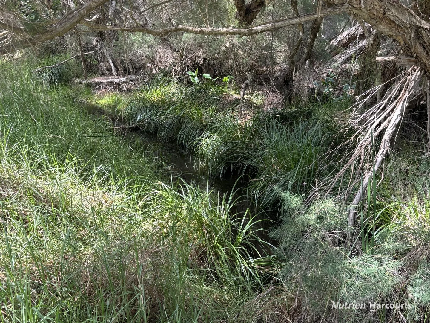 Additional image 27 of 92 Robinson Street, Gingin WA 6503