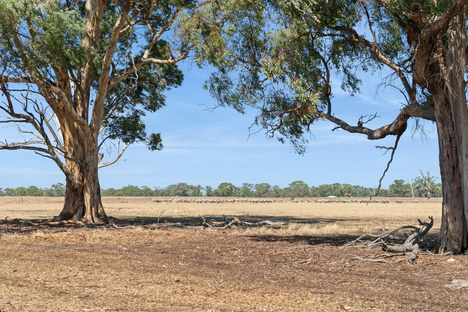 Additional image 10 of Lots 2-3 Whatleys Road, Goornong VIC 3557