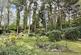 Additional image 35 of Ashley Drive South, Ashley Heath, BH24 2JU