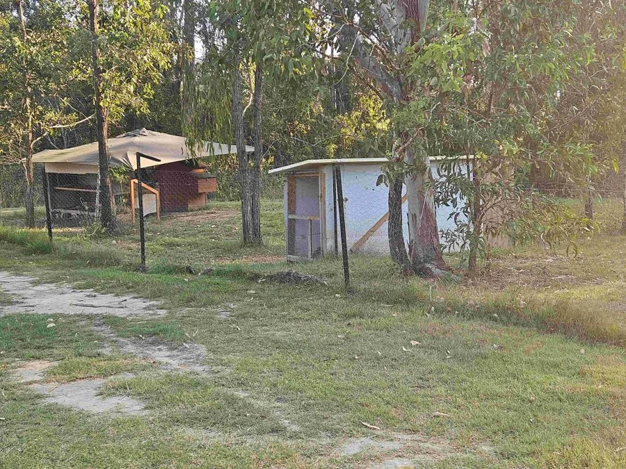Additional image 15 of 199 Arborthree Road, Glenwood QLD 4570