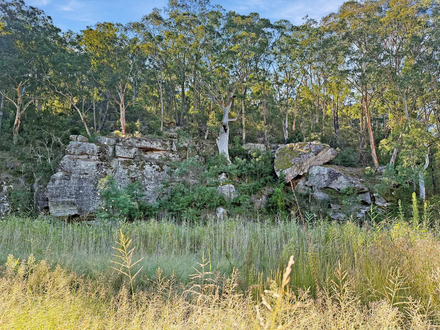 Additional image 33 of 898 Yango Creek Road, Laguna NSW 2325