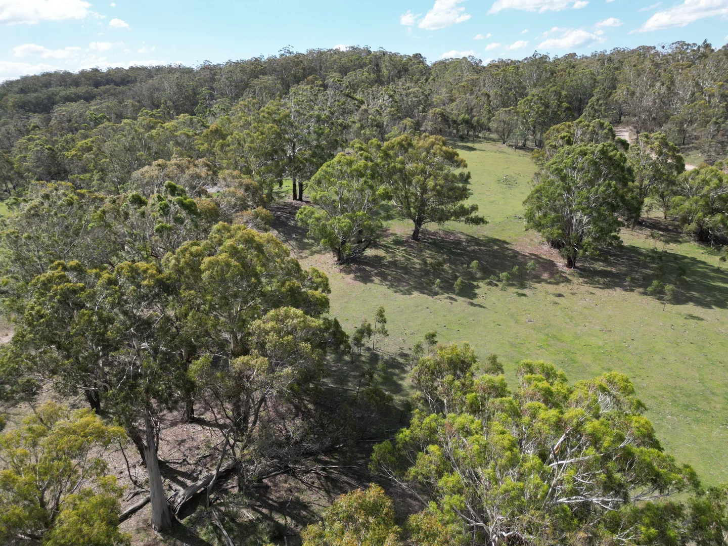 Additional image 22 of 29, 175 Tumbledown Road, Peak View NSW 2630