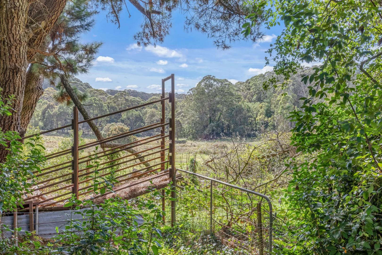 Additional image 18 of 1231 Sunny Corner Road, Sunny Corner NSW 2795