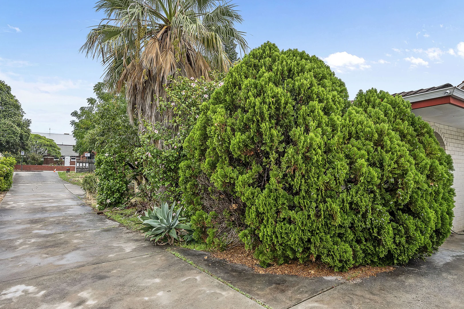 Additional image 12 of 2/48 Forrest Street, South Perth WA 6151