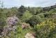 Additional image 27 of Dalesway, Heswall, Wirral