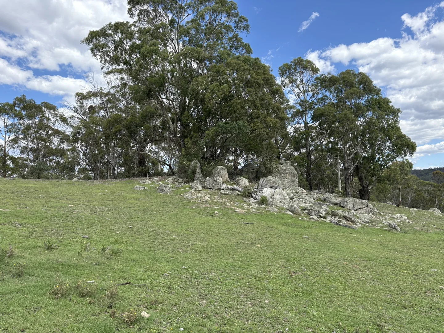 Additional image 18 of 29, 175 Tumbledown Road, Peak View NSW 2630