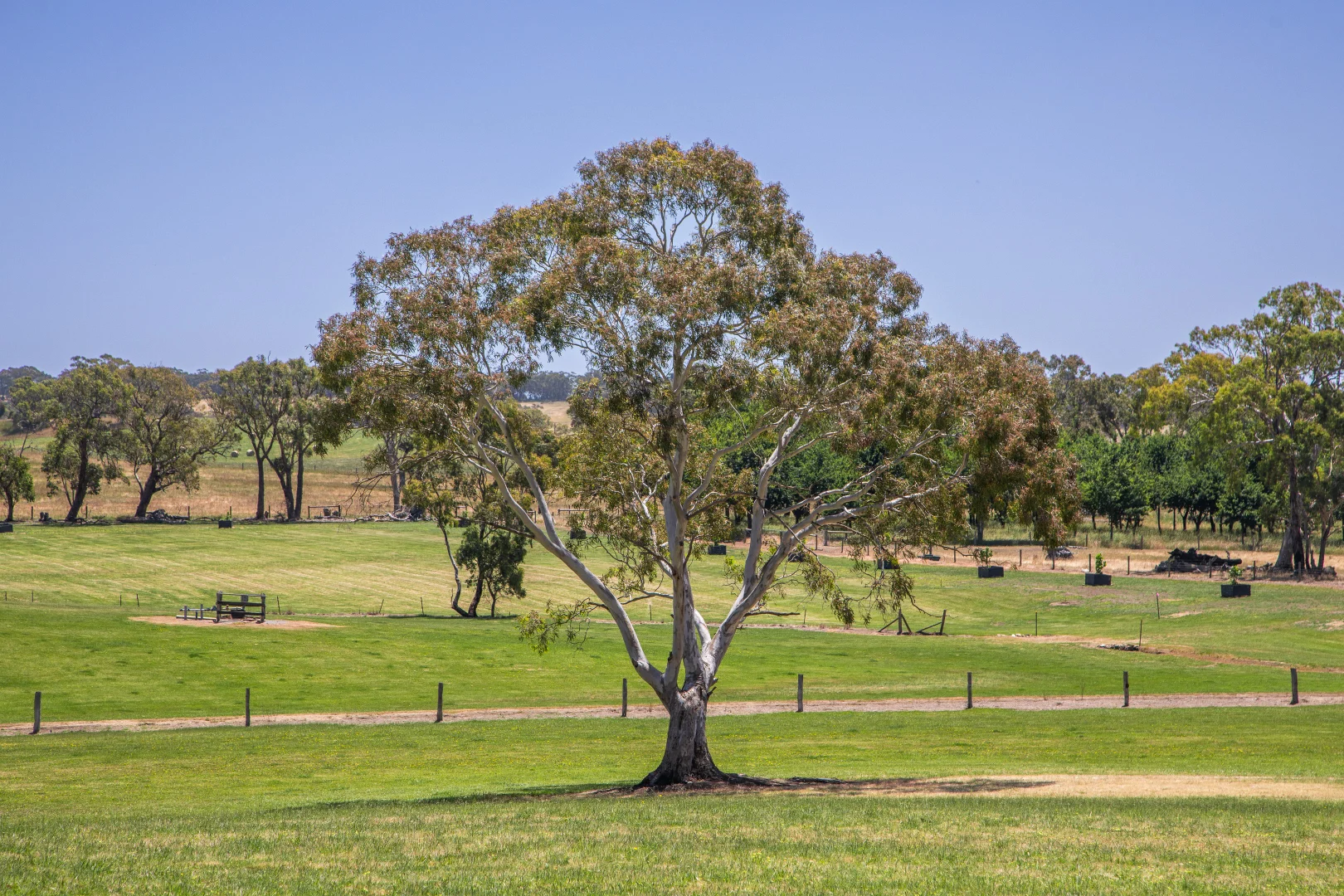Additional image 10 of 764 (Sec 2989) Flaxley Road, Flaxley SA 5153