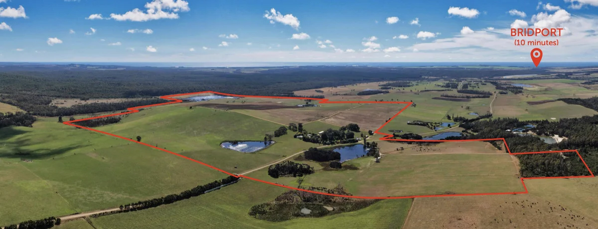 Additional image 3 of 985 Ferny Hill Road, Bridport TAS 7262