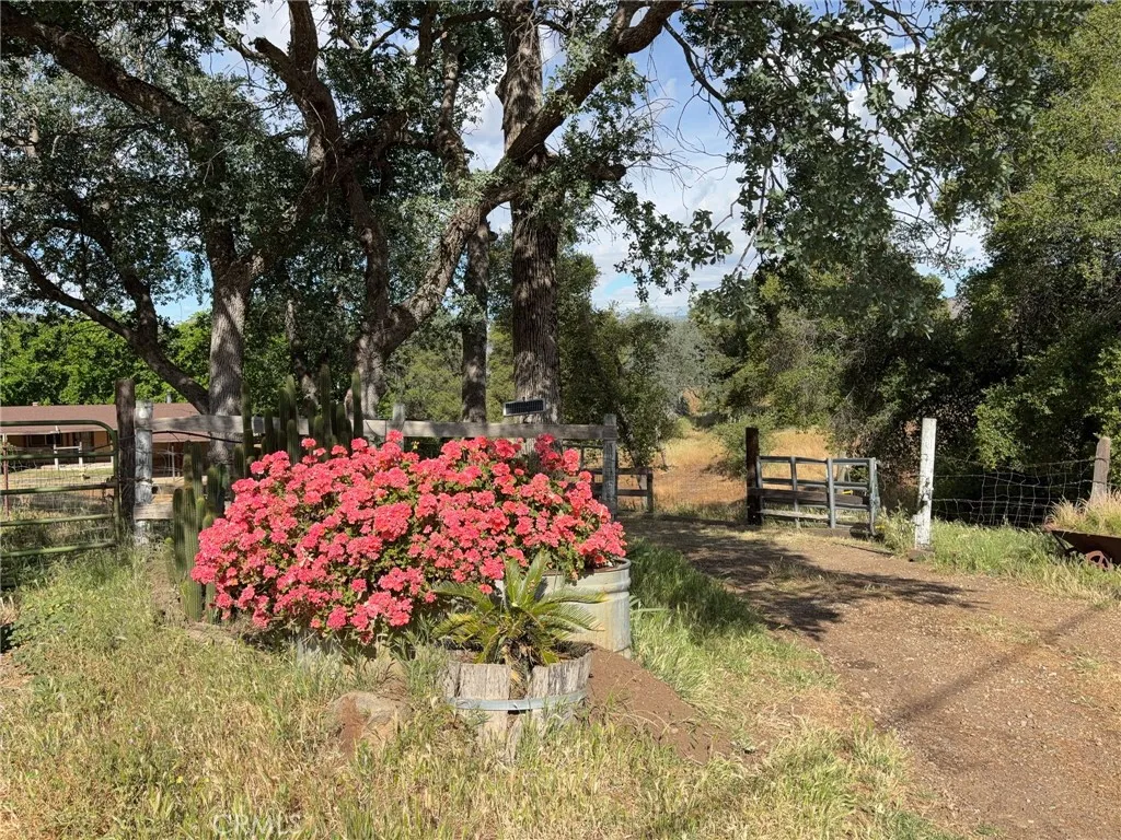 Additional image 19 of 39569 Clover Ln, Squaw Valley, CA 93675