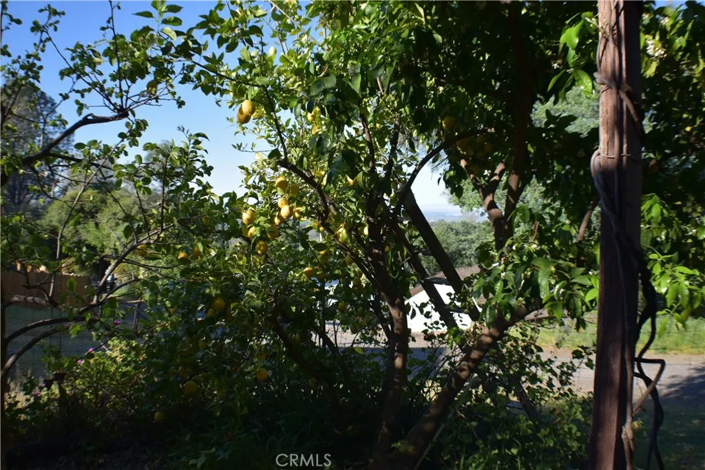 Additional image 121 of 18 Oak Hill Dr, Oroville, CA 95966