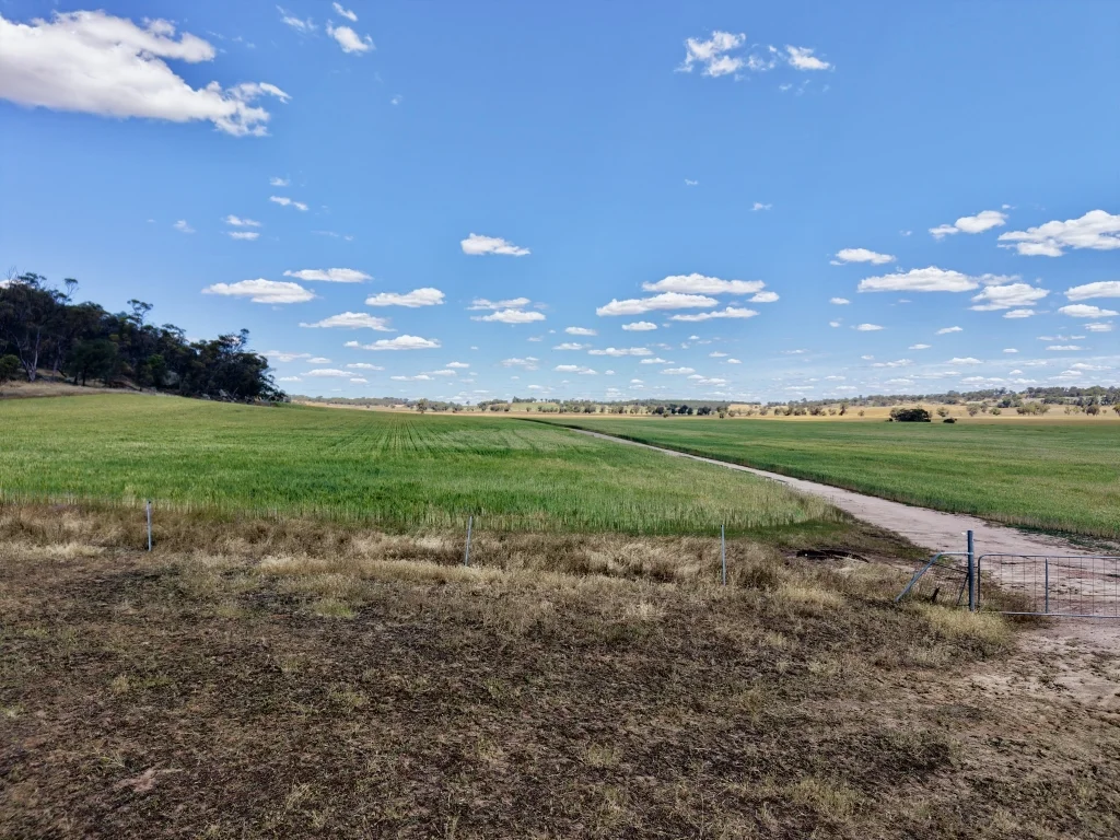 Additional image 17 of Butchers Road, Dale WA 6304
