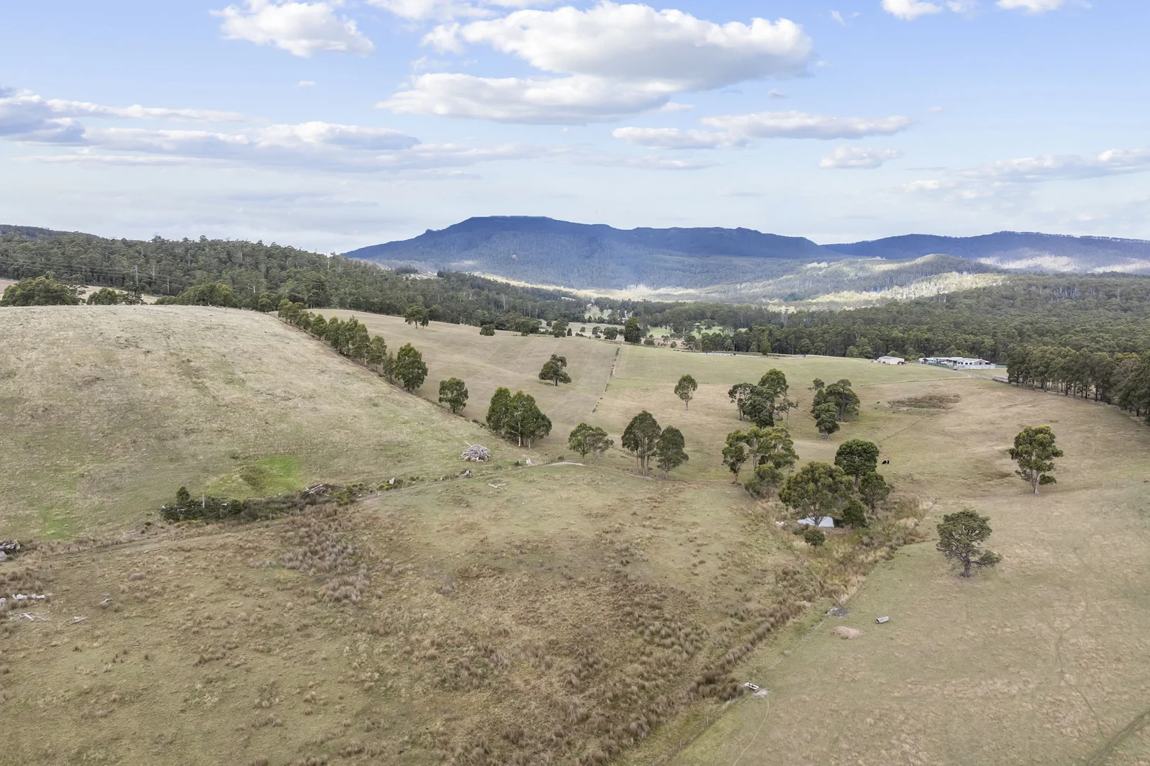 Additional image 19 of 38485 Tasman Highway, Targa TAS 7259