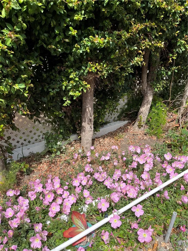 Additional image 35 of 1065 Lomita Boulevard Unit 250, Harbor City, CA 90710
