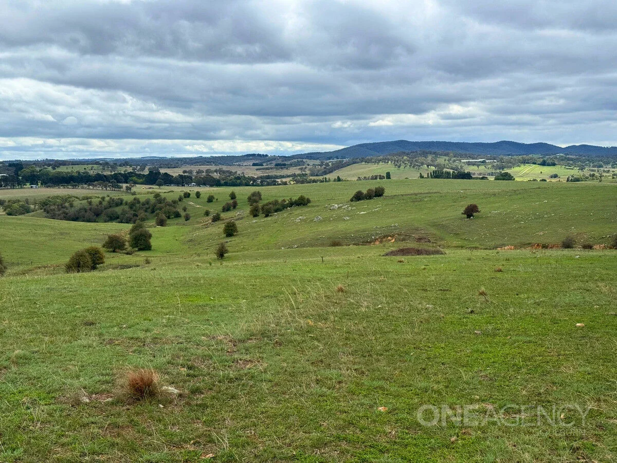Additional image 10 of 255 Gurrundah Road, Goulburn NSW 2580
