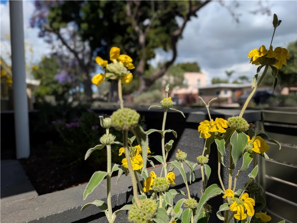 310 W 32nd St, Long Beach, CA 90806