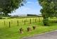 Additional image 16 of Builth Wells, Wales, LD2