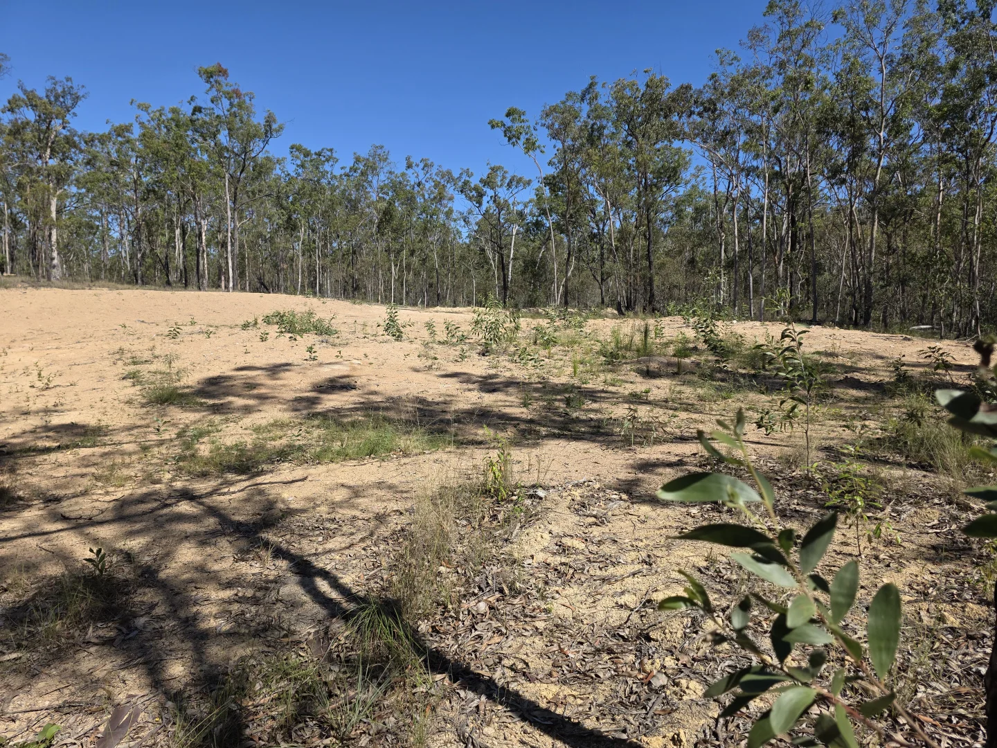 Additional image 8 of 428 Bruxner Road, Drake NSW 2469