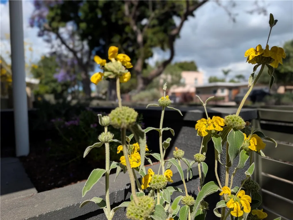 Additional image 120 of 310 W 32nd St, Long Beach, CA 90806