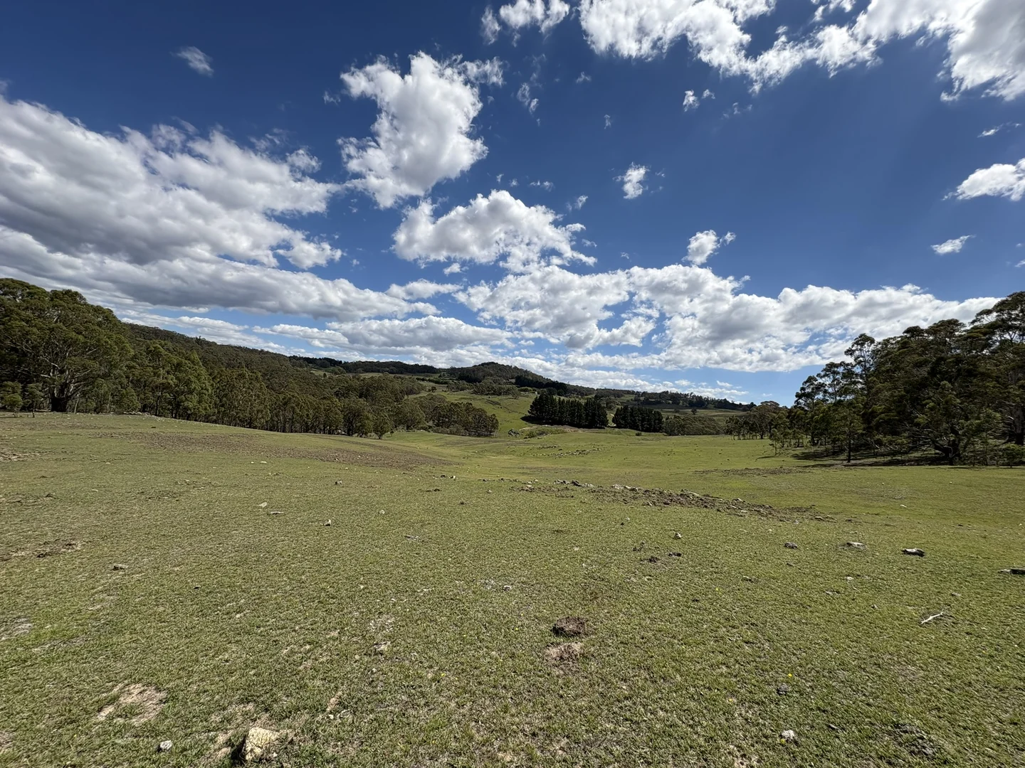 Additional image 15 of 29, 175 Tumbledown Road, Peak View NSW 2630