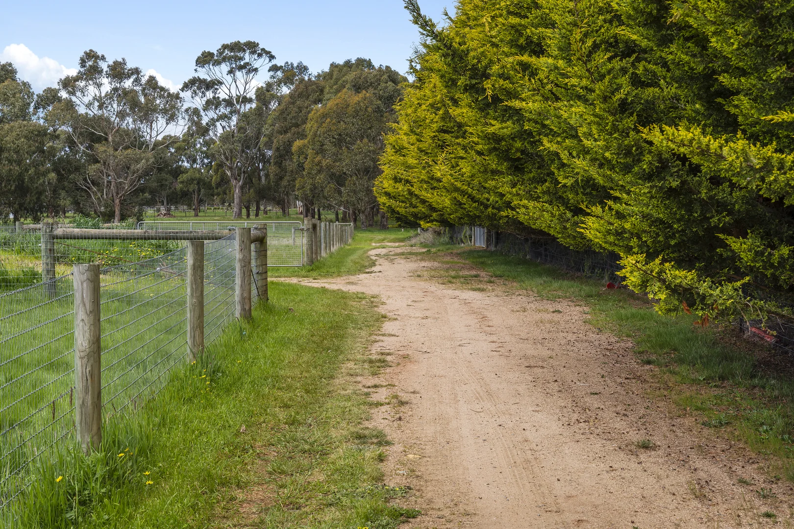 Additional image 9 of 98 Kronks Lane, Woodend VIC 3442