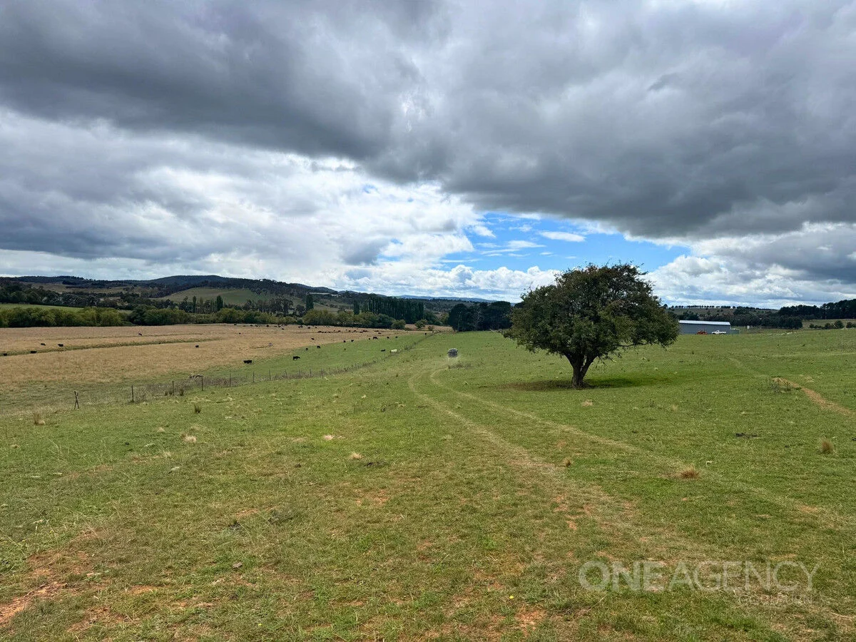 Additional image 14 of 255 Gurrundah Road, Goulburn NSW 2580