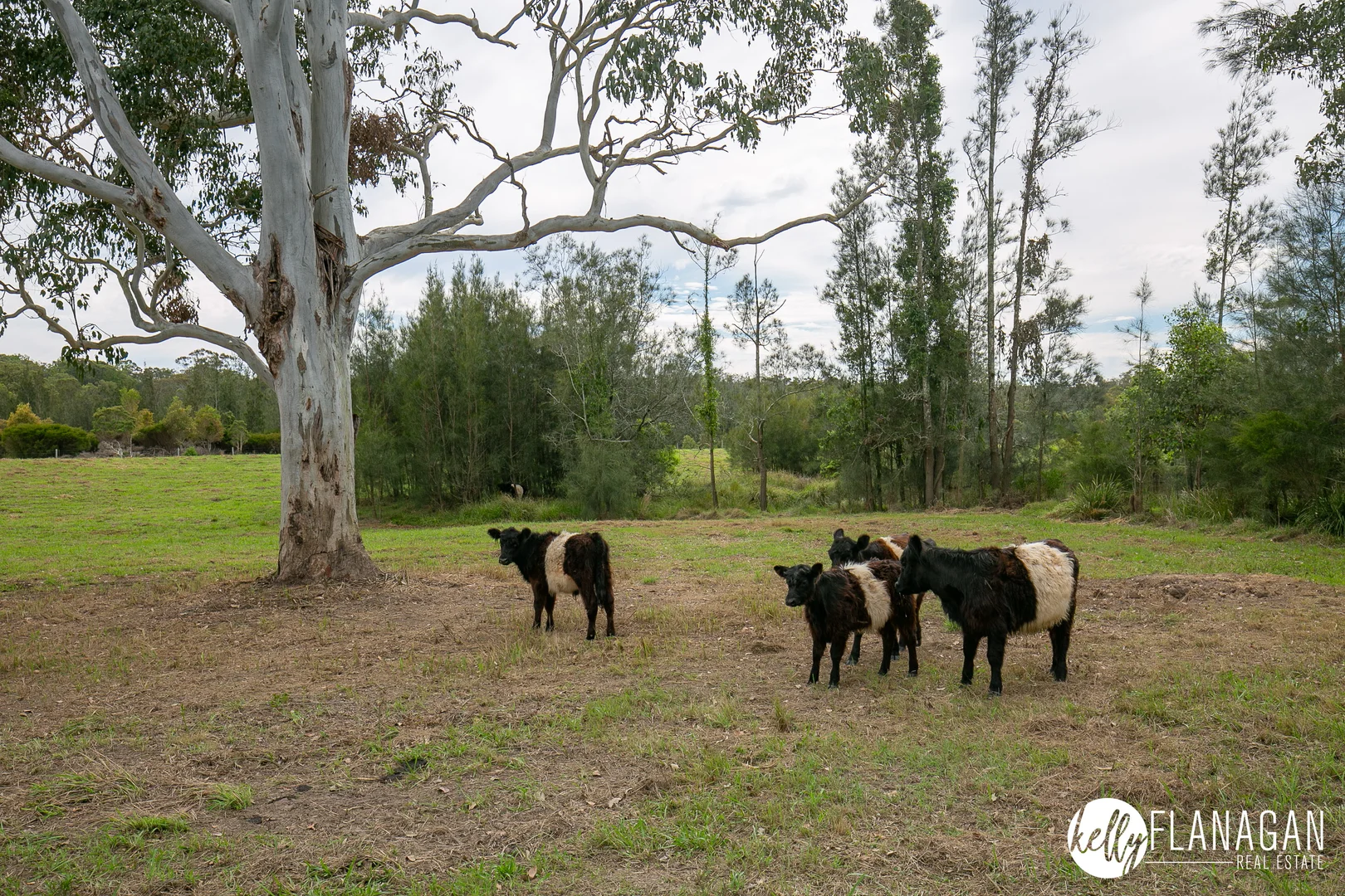 Additional image 25 of Spooners Avenue, Collombatti NSW 2440