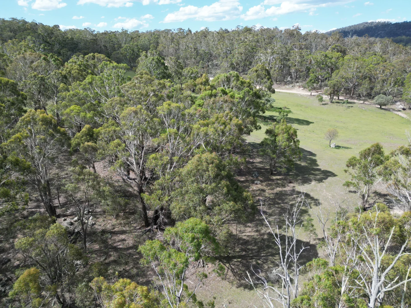 Additional image 20 of 29, 175 Tumbledown Road, Peak View NSW 2630