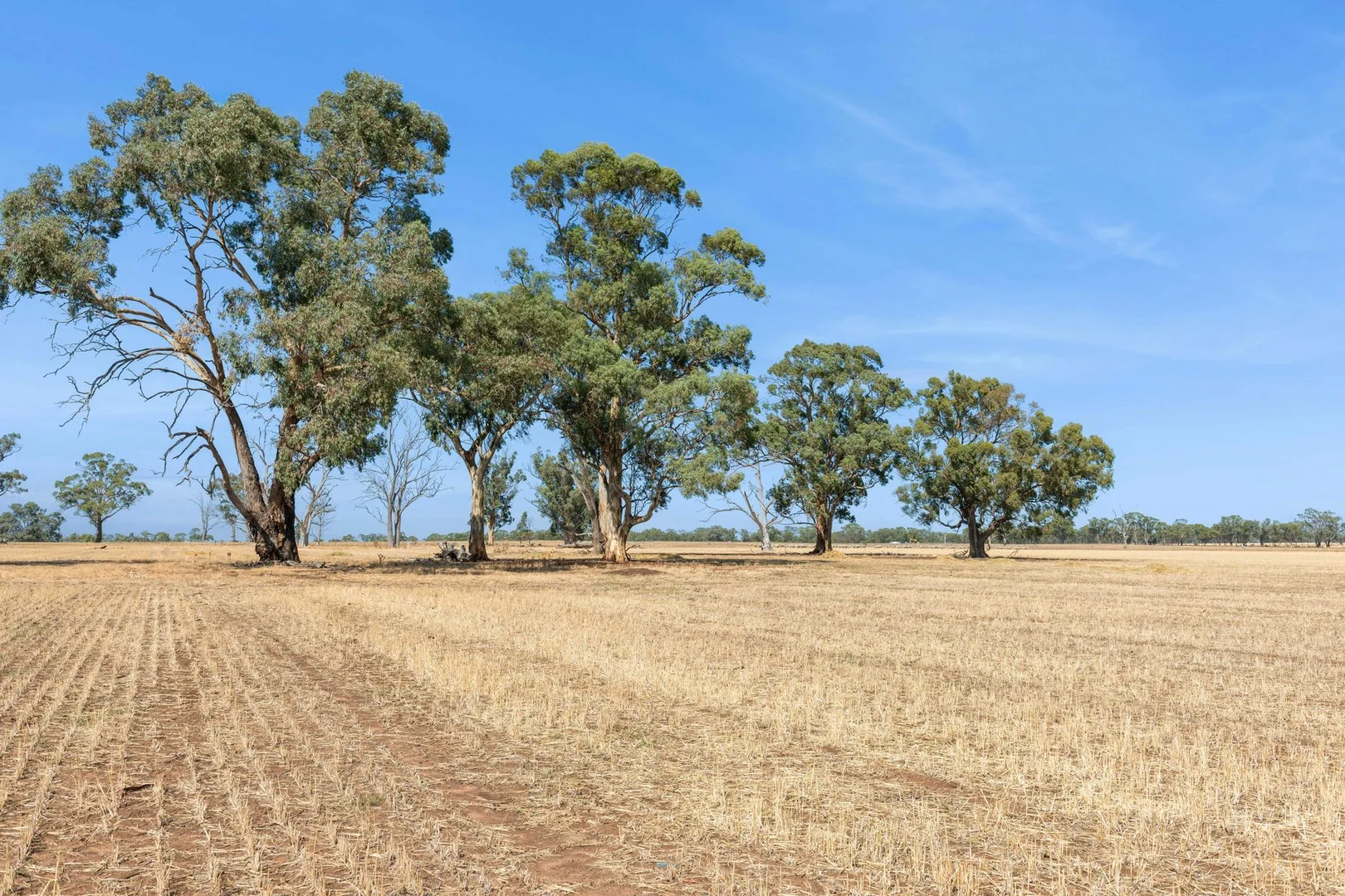 Additional image 8 of Lots 2-3 Whatleys Road, Goornong VIC 3557