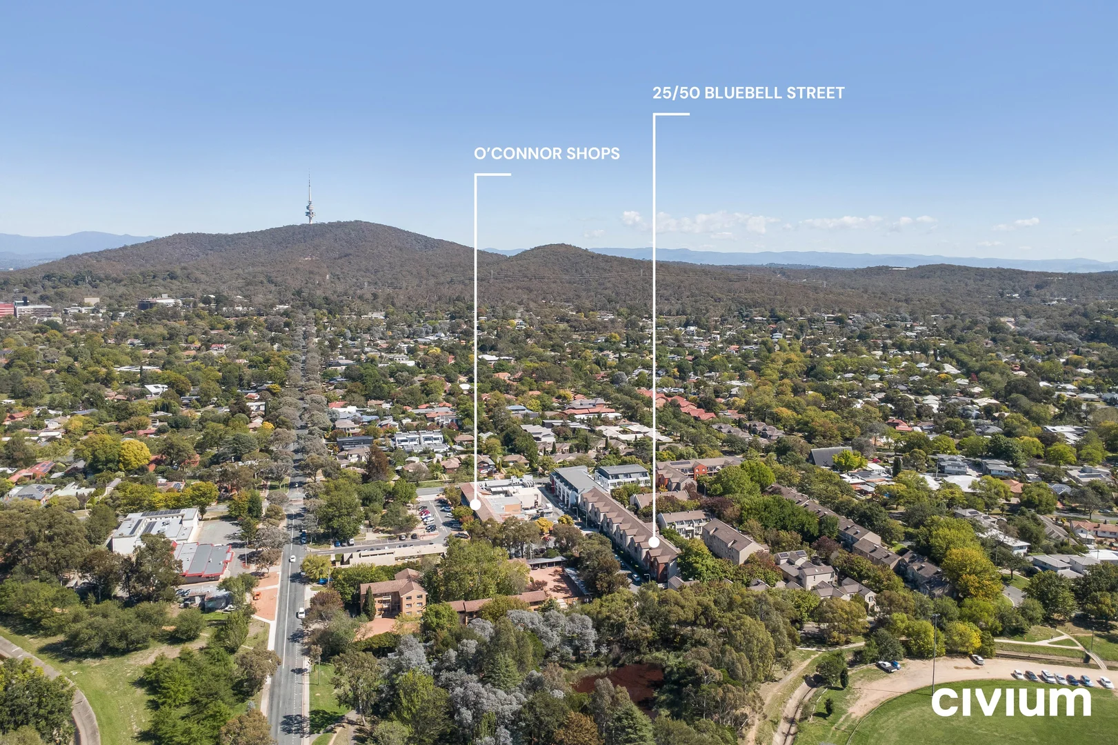 Additional image 8 of 25/50 Bluebell Street, O'Connor ACT 2602
