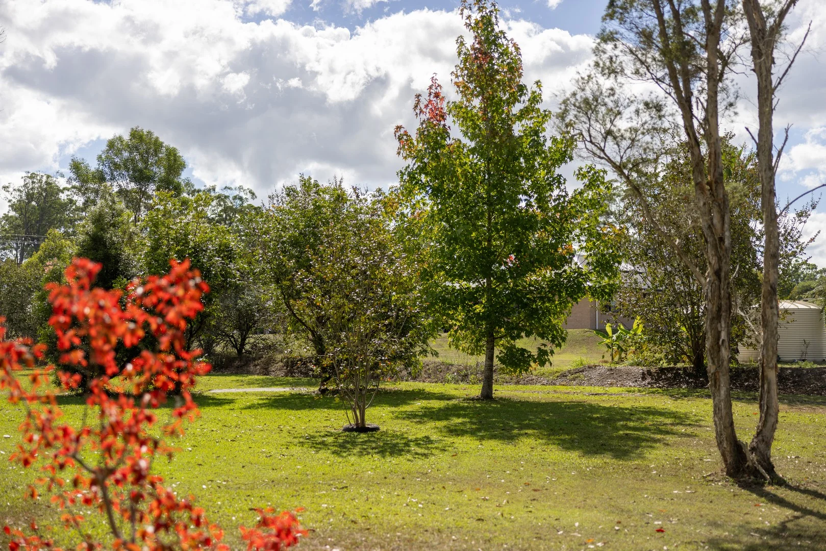60 Iluka Circuit, Taree NSW 2430