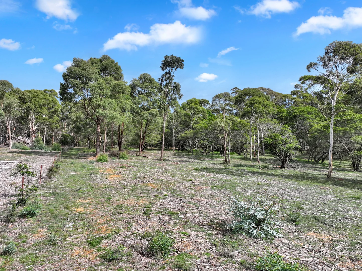 Additional image 9 of 12 Half Moon Road, Braidwood NSW 2622