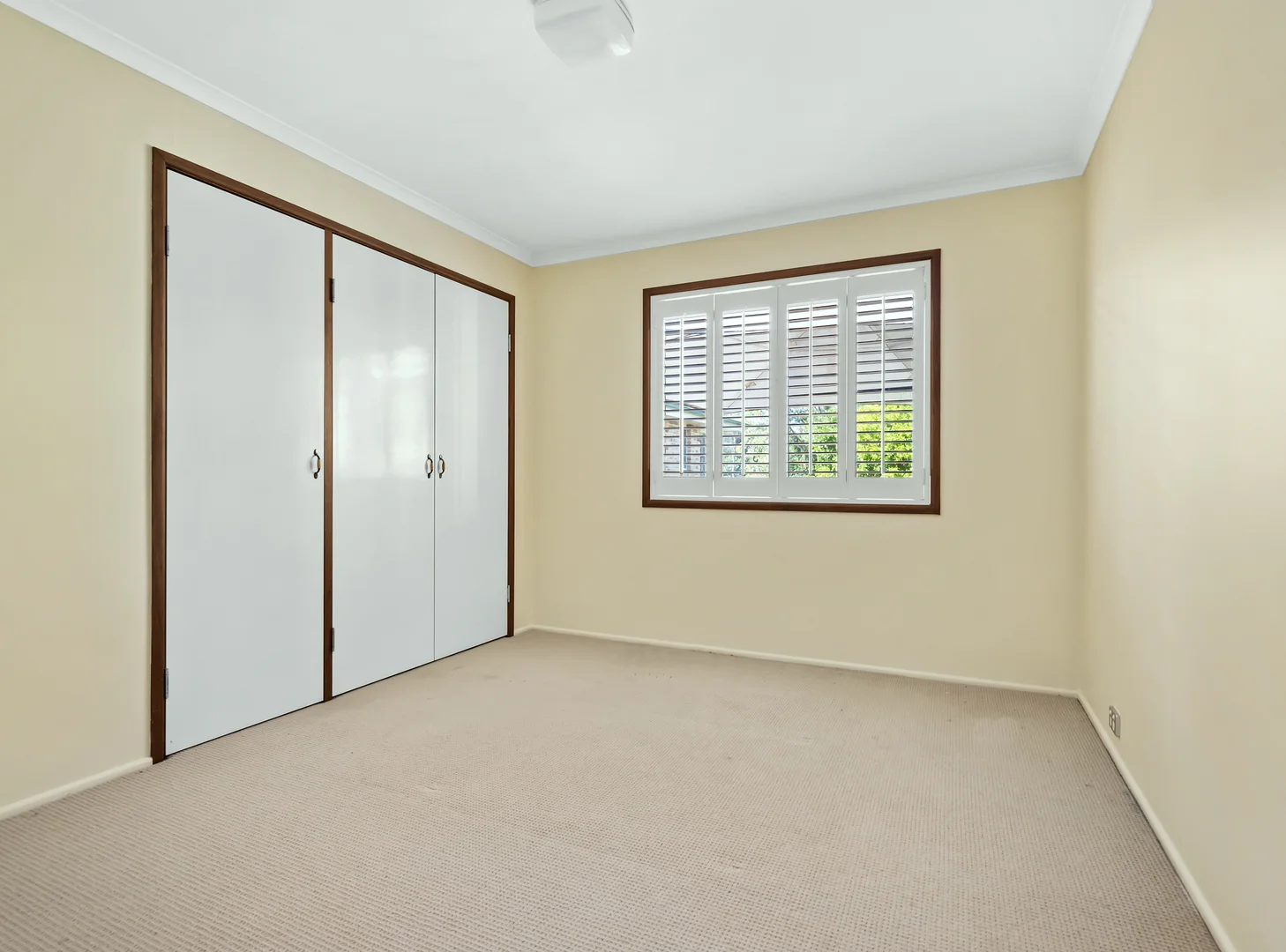Additional image 9 of 24 Stewart Street, Withcott QLD 4352