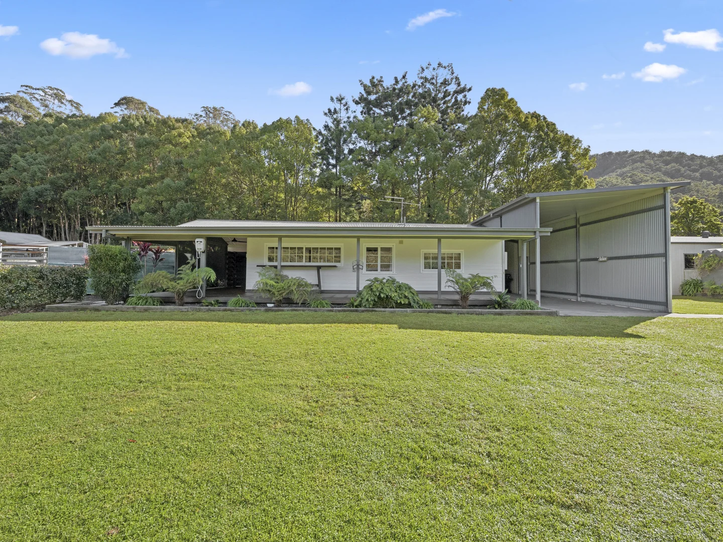 Additional image 24 of 339 Dairyville Road, Upper Orara NSW 2450